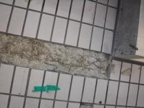 割れタイル撤去