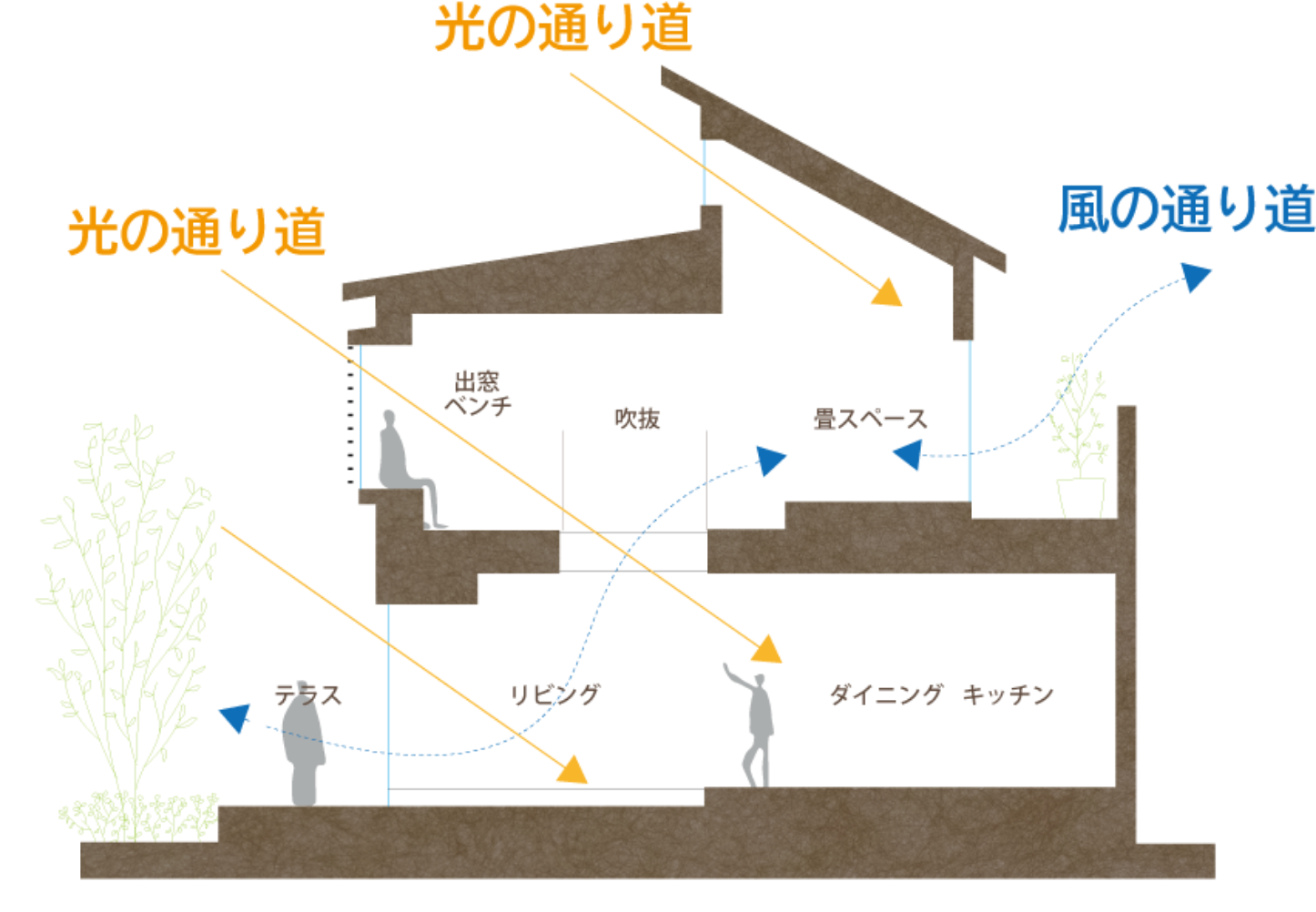 断面図