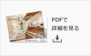 PDFで詳細を見る
