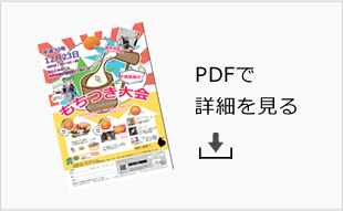 PDFで詳細を見る