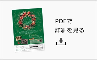 PDFで詳細を見る