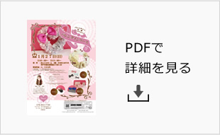 PDFで詳細を見る